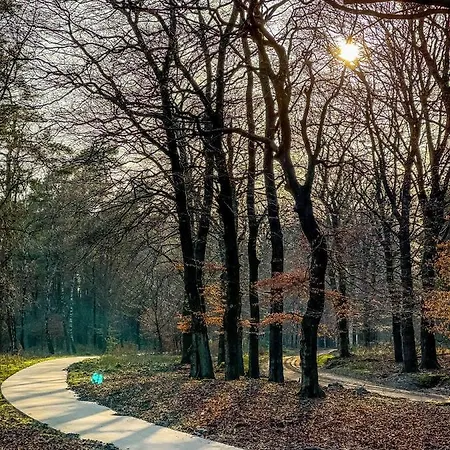 Tinyhouse Op De Veluwe פארק נופש *