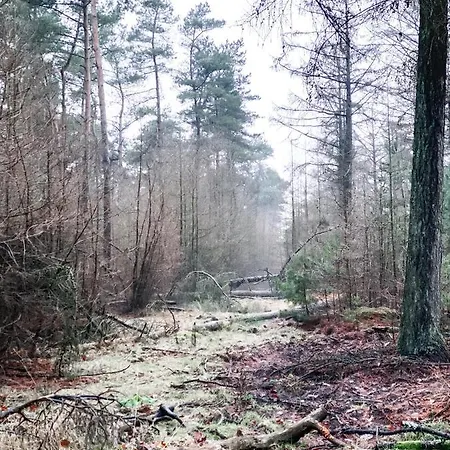 Tinyhouse Op De Veluwe * ביקברחן