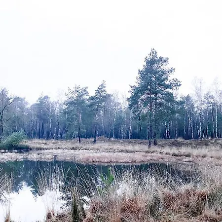 Tinyhouse Op De Veluwe